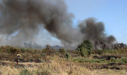 Conaf informa sobre incendios forestales en combate: En San Pedro hay más de 2 mil hectáreas afectadas