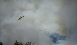 Incendios forestales: Autoridades llaman a no tener conductas de riesgo para evitar nuevos focos
