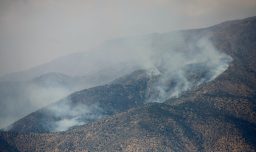 Conaf entrega balance: Incendio forestal en Las Condes ha consumido 800 hectáreas