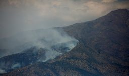 Incendio forestal en San Carlos de Apoquindo se mantiene activo y consume cerca de 970 hectáreas