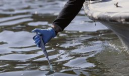 Nebularia: la bacteria que mantiene contaminado el Lago Vichuquén