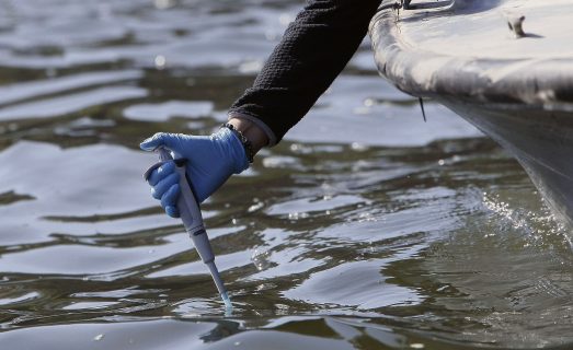 Nebularia: la bacteria que mantiene contaminado el Lago Vichuquén