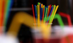 Proyecto que permite el uso de elementos reciclables en recintos comerciales quedó listo para ser despachado a ley