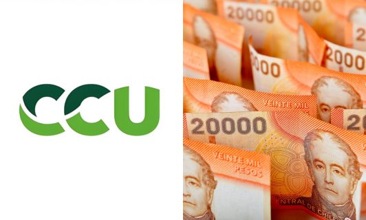 El masivo fraude de seguros de cesantía que afectó a CCU: Empresa se querelló contra 80 extrabajadores