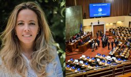 Vanessa Kaiser y el rol de la futura oposición: “Nos van a tratar de transformar el país en un maldito infierno”