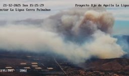 Senapred declara alerta Roja en Zapallar y La Ligua por incendio forestal