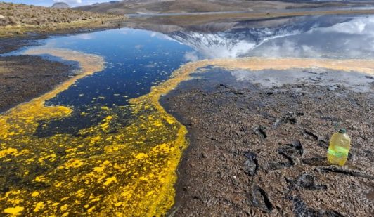Lago Chungará: análisis de los daños y la lenta acción ante el derrame de 20 toneladas de aceite de soya en el parque