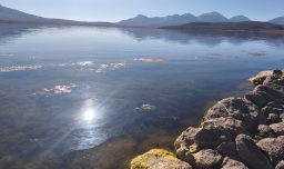 Lago Chungará continúa proceso de recuperación tras derrame de aceite: Se ha removido 90% del contaminante