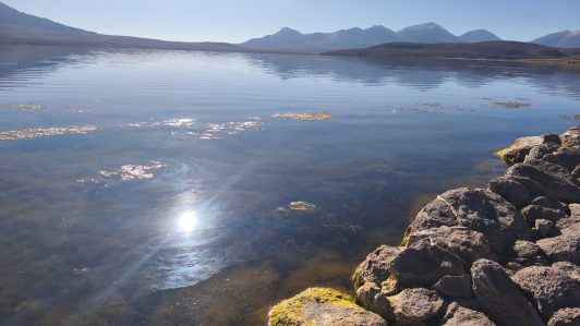 Lago Chungará continúa proceso de recuperación tras derrame de aceite: Se ha removido 90% del contaminante