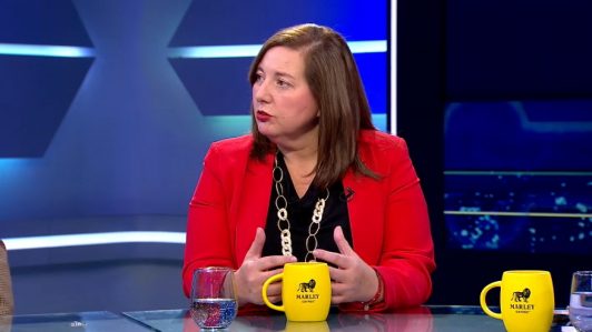 Vodanovic afirma que como futura oposición serán “vigilantes” de los avances en derechos sociales