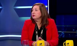 Vodanovic afirma que "no hubo nunca una orgánica ni fórmula de trabajo" entre los partidos de la alianza de Gobierno