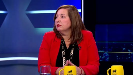 Vodanovic afirma que "no hubo nunca una orgánica ni fórmula de trabajo" entre los partidos de la alianza de Gobierno