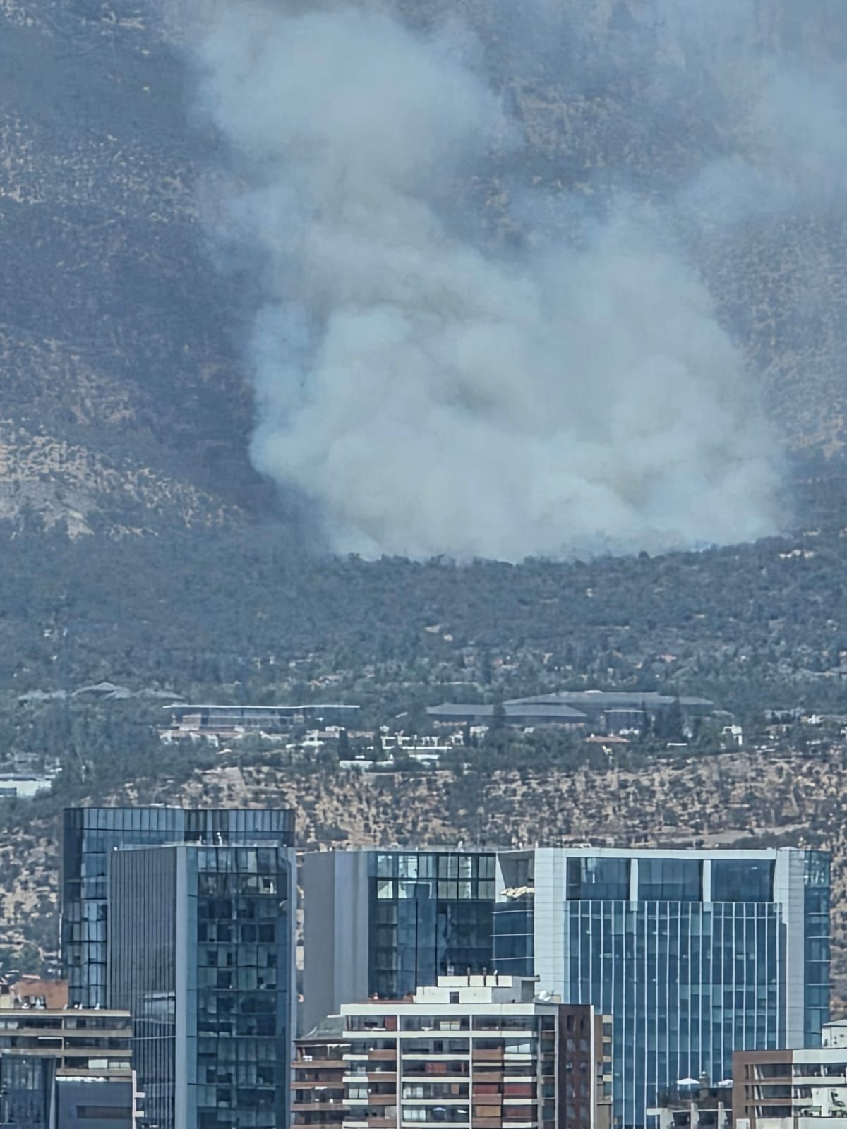 Incendio forestal afecta Las Condes/Bomberos 