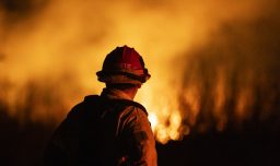 Senapred declara alerta roja en La Serena: incendio forestal activa evacuación en diferentes sectores