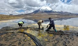 Lago Chungará: extraen el 60% de aceite de soya derramada y experto advierte que tardaría 50 años la recuperación del lugar