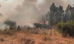 Senapred llamó a evacuar: Incendios forestales afectan comunas de las regiones Metropolitana y de O'Higgins