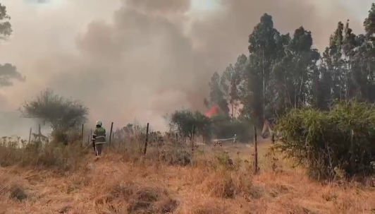 Senapred llamó a evacuar: Incendios forestales afectan comunas de las regiones Metropolitana y de O'Higgins