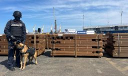 Detectan casi 20 toneladas de madera impregnada con cocaína en Arica