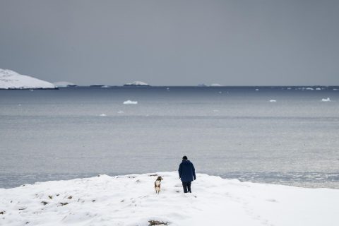 Trump insiste en reclamar Groenlandia para Estados Unidos: Primer ministro groenlandés rechazó cualquier “fantasía de anexión”