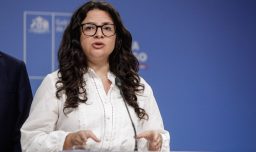 La frustración del Ejecutivo con Sala Cuna en voz de Antonia Orellana: "Para quienes dicen que fue tiempo perdido..."