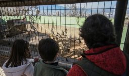 Zoológico Metropolitano reabre sus puertas con entrada gratuita tras casi un año cerrado: Así puedes ingresar