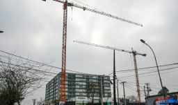 INE: Tasa de desocupación se ubicó en 8,0% para el trimestre octubre-diciembre de 2025