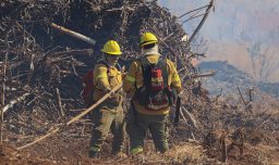 Senado despachó a tercer trámite ley de incendios: Discusión del proyecto continuará en la Cámara Baja