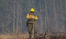 Senapred declara alerta roja en la Región de La Araucanía por incendios forestales