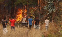 Alcalde de Penco afirma que han debido evacuar “más del 90% de la comunidad” por incendios forestales
