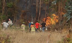 Banco Central explica cómo recuperar dinero dañado tras incendios o desastres naturales