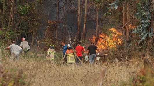 Banco Central explica cómo recuperar dinero dañado tras incendios o desastres naturales