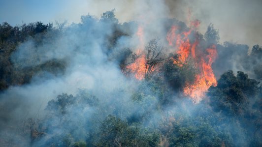 Contraloría detectó debilidades en la gestión de incendios forestales en La Araucanía por parte de Conaf