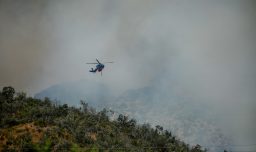 Senapred declara alerta roja en Cabrero por incendio forestal que amenaza sectores habitados