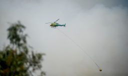 Alerta Roja en Valparaíso por incendio forestal: Senapred llamó a evacuar sector de Laguna Verde