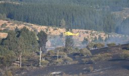 Balance por incendios forestales: Hay tres con alerta roja en la Región de Ñuble