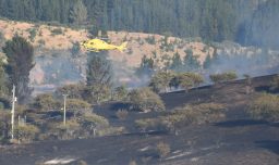 Alerta por 3 incendios forestales activos: Más de 400 hectáreas afectadas en Cauquenes