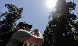 Emiten alerta por “altas temperaturas extremas” del Maule a Los Ríos: Revisa cuándo ocurrirá el fenómeno y las zonas afectadas