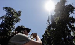 Botón Rojo en O'Higgins: 16 comunas con condiciones críticas que facilitan propagación de incendios forestales