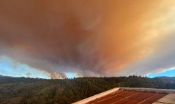 Suspenden partido de Universidad de Chile en Concepción por incendios forestales