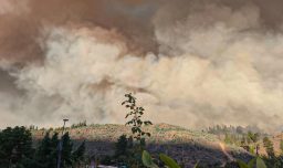 Incendios forestales: Alcalde de Florida confirma que hay más de 2.500 hectáreas consumidas y dos casas afectadas