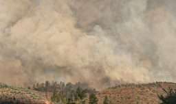 ¿Qué es el viento puelche?: El fenómeno que afecta el combate de incendios en Ñuble y Biobío