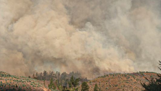 ¿Qué es el viento puelche?: El fenómeno que afecta el combate de incendios en Ñuble y Biobío