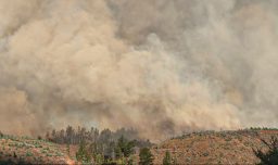 Israel anuncia apoyo ante emergencia por incendios forestales en Biobío y Ñuble