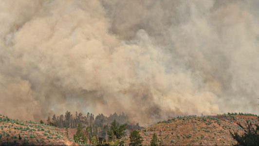 Israel anuncia apoyo ante emergencia por incendios forestales en Biobío y Ñuble