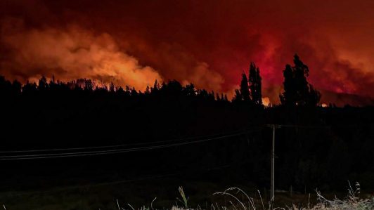 Incendios forestales en la Región del Biobío han consumido más de 3 mil hectáreas