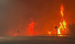 Encuentran contenedores con bencina en caminos investigados por focos de incendios forestales de la Región del Biobío