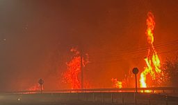 Ñuble: Alcalde de Bulnes dice que "en solo horas se quemaron más de 1.500 hectáreas" y que hay más de 70 viviendas consumidas