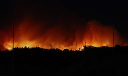 Decretan Estado de Catástrofe para Biobío y Ñuble por incendios forestales