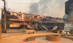 Incendios forestales: Contraloría tomó razón de decretos que declaran estado de catástrofe en Ñuble y Biobío