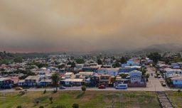 Conaf: Más de 8.500 hectáreas consumidas por incendios forestales en Ñuble y Biobío